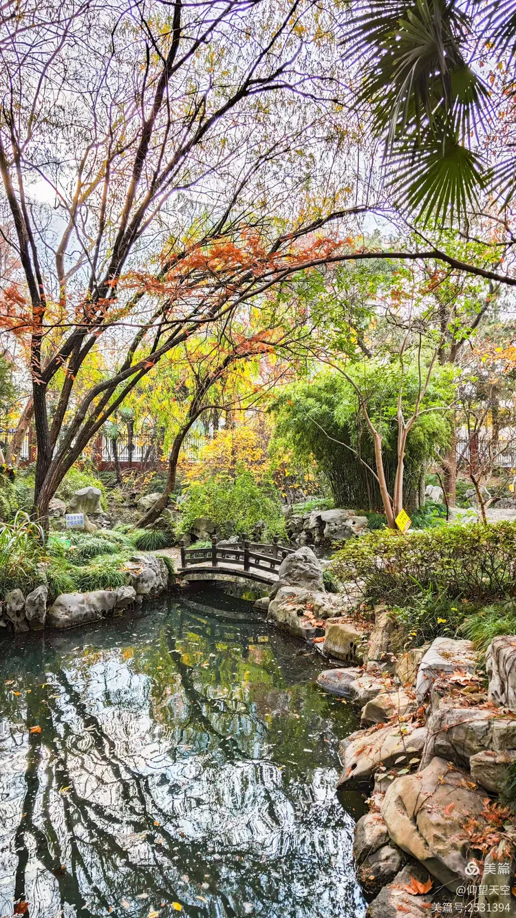 燕园解放后首任校长陈望道雕塑00:34学校正门出入口处视频复旦大学